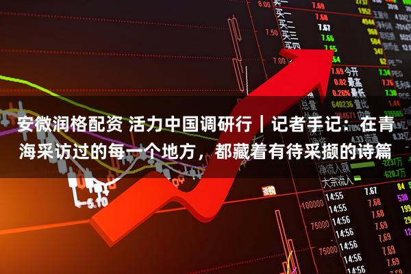 安微润格配资 活力中国调研行｜记者手记：在青海采访过的每一个地方，都藏着有待采撷的诗篇