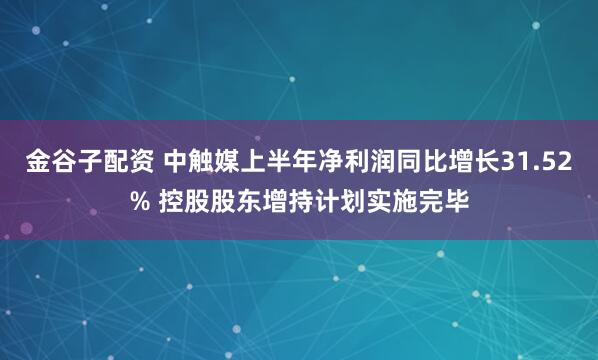 金谷子配资 中触媒上半年净利润同比增长31.52% 控股股东增持计划实施完毕