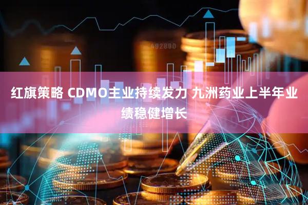 红旗策略 CDMO主业持续发力 九洲药业上半年业绩稳健增长