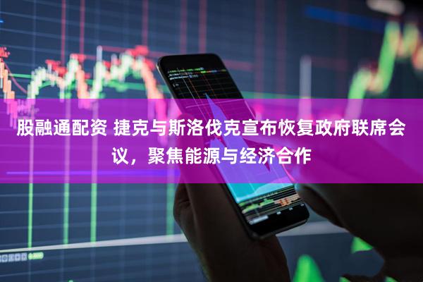 股融通配资 捷克与斯洛伐克宣布恢复政府联席会议，聚焦能源与经济合作